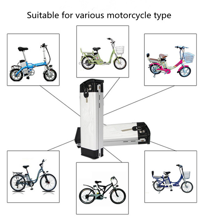 48V Ebike Lithium Battery