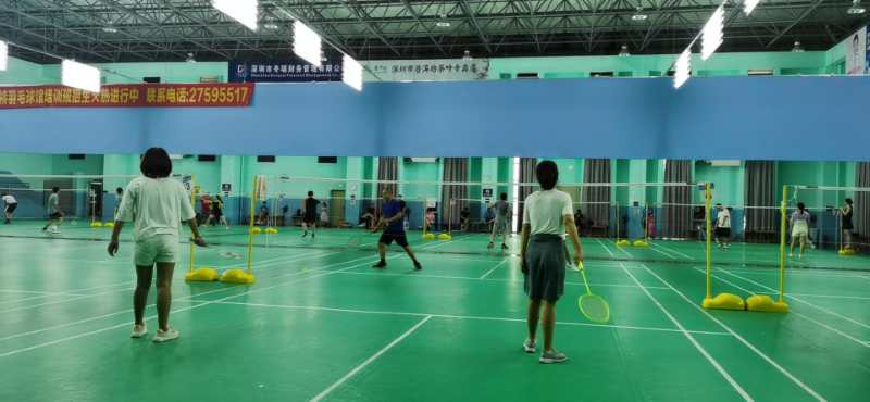 Genixgreen Badminton Activity