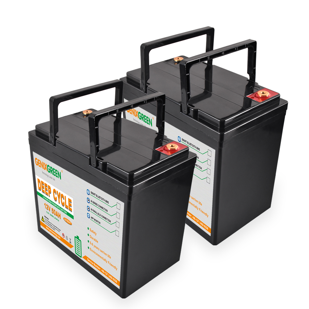 1000 watt battery for electric bike